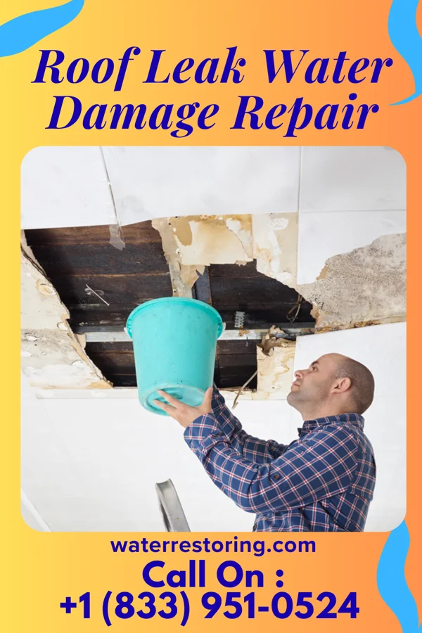 Roof Leak Water Damage Repair in Edisto, SC