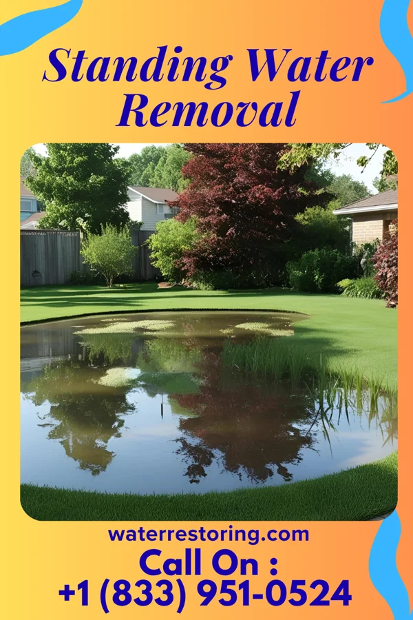 Standing Water Removal in Edisto, SC